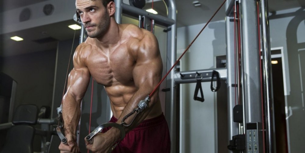 krzyżowanie linek w bramie