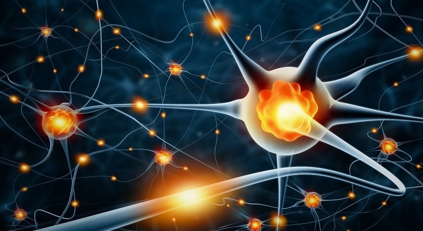 Tłuszcze to pomoc dla neuronów