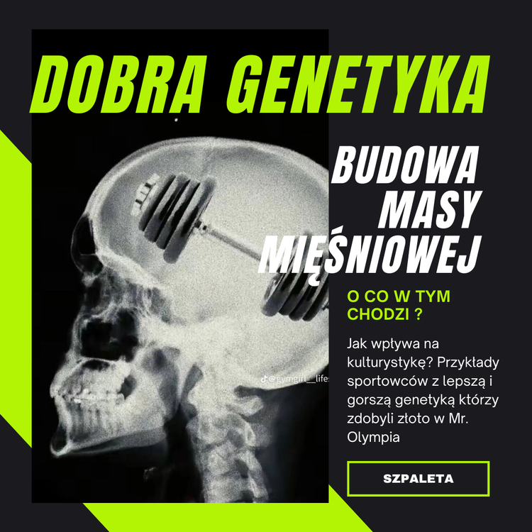 Dobragenetyka.thumb.png.43f050ea92563231dd4f996e277ab148.png